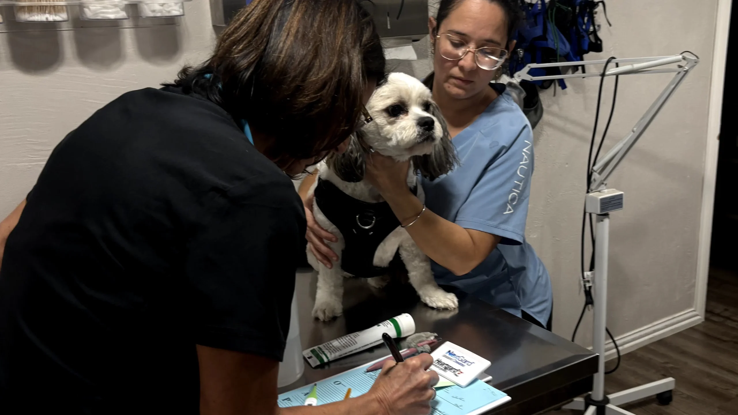 D'Anne R. Stephens, DVM, and a technician examining a small dog during a wellness visit