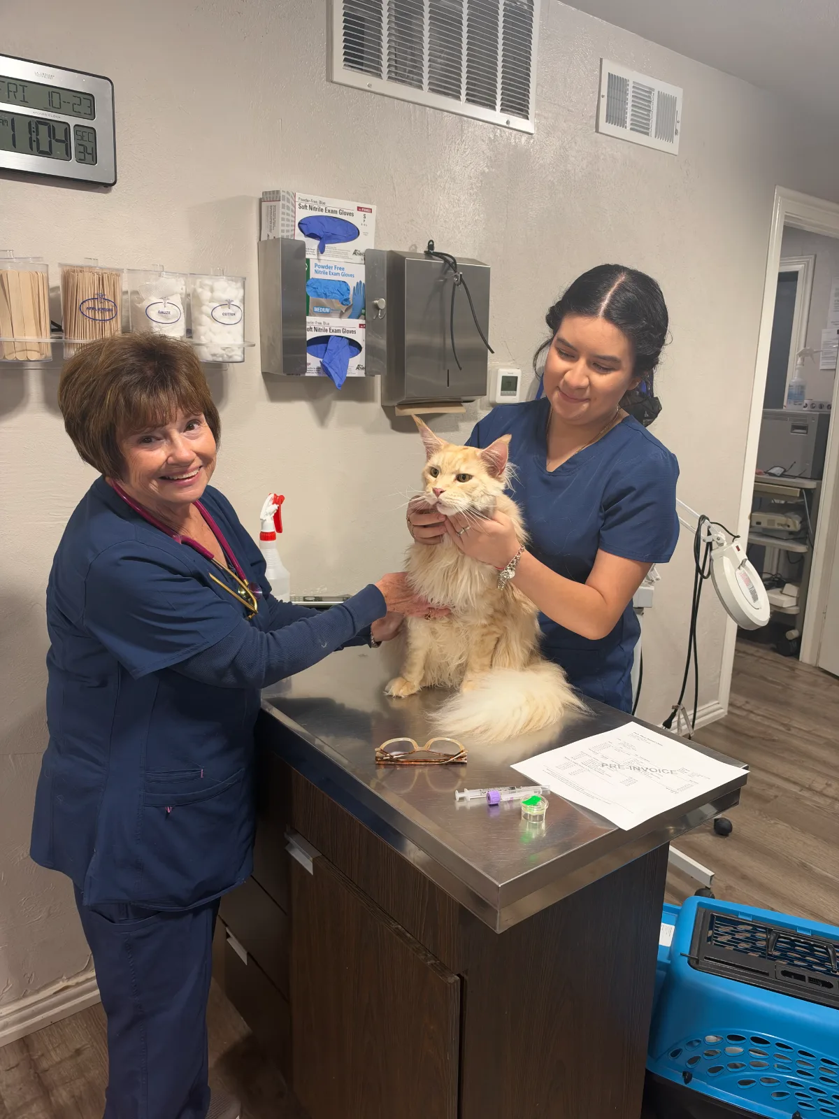 Veterinarian and technician examining a long-haired cat on the exam table at Park Plaza Animal Clinic