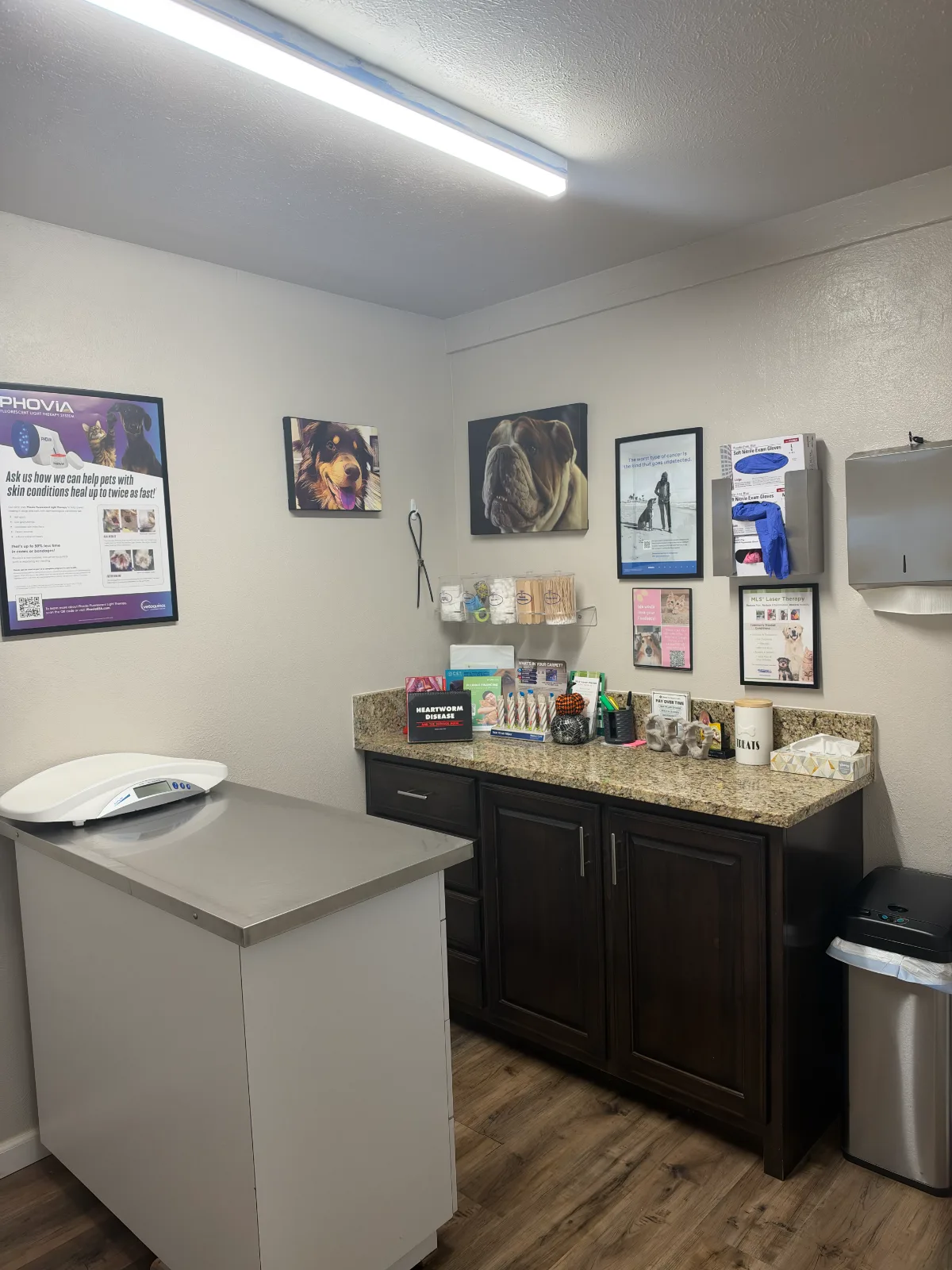 Exam room at Park Plaza Animal Clinic with exam table, scale and treatment counter